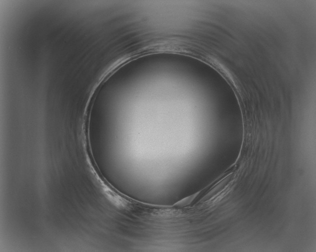 X0000076061434200610061524