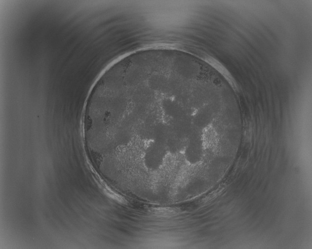 X0000076061436200610061525