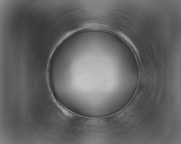 X0000076061437200610061525