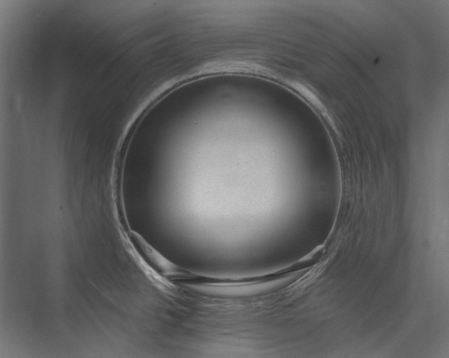 X0000076061438200610061525