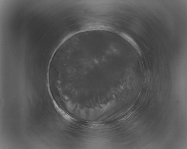 X0000076061439200610061525