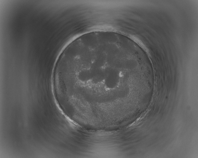 X0000076061440200610061525