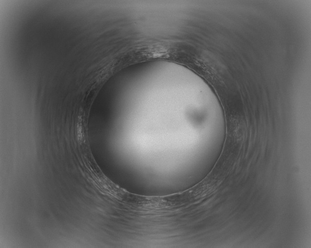 X0000076061442200610061524