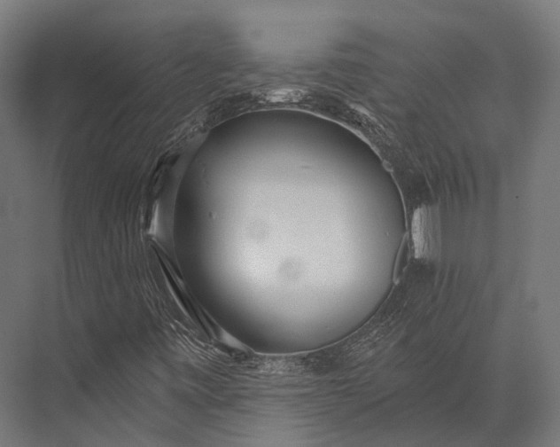 X0000076061443200610061524