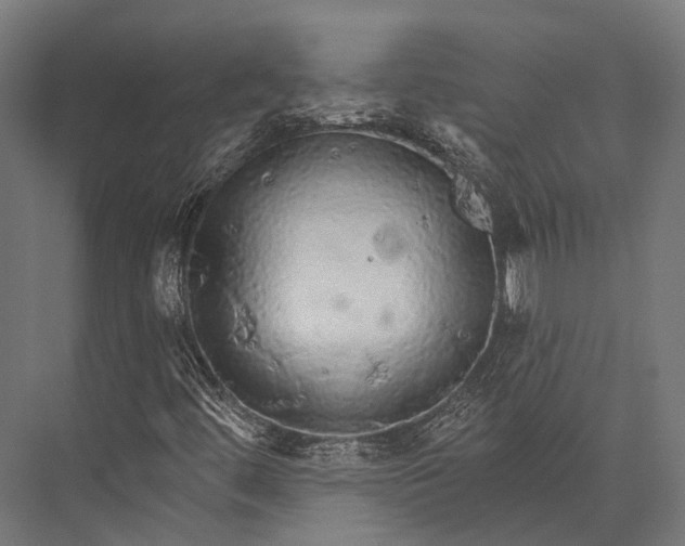 X0000076061444200610061524