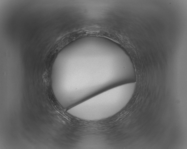 X0000076061445200610061524