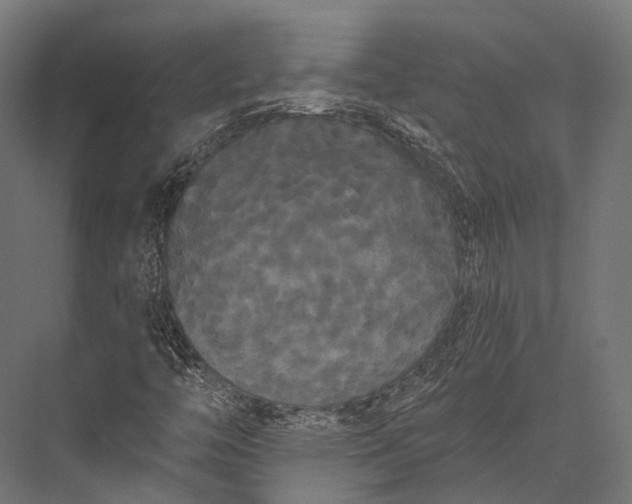 X0000076061446200610061524