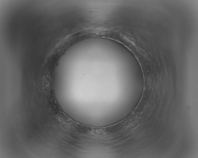 X0000076061447200610061524