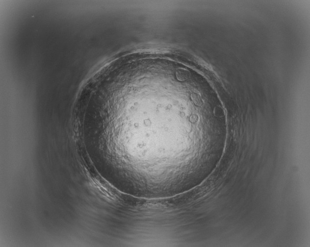 X0000076061448200610061524