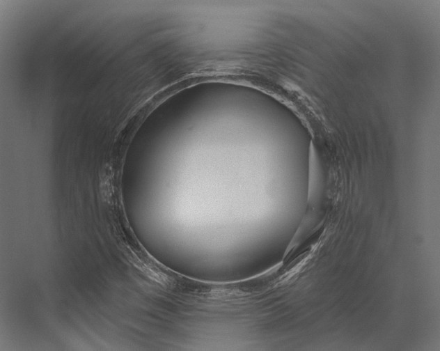 X0000076061449200610061524