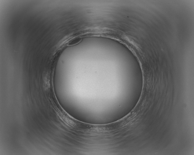 X0000076061451200610061524