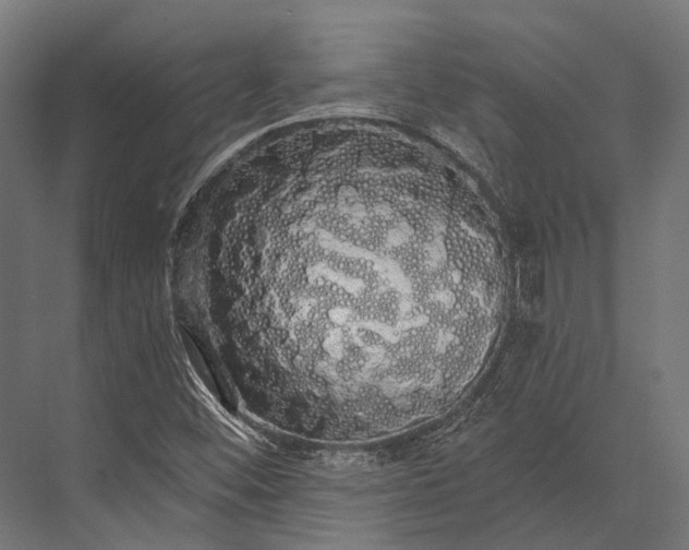 X0000076061452200610061524