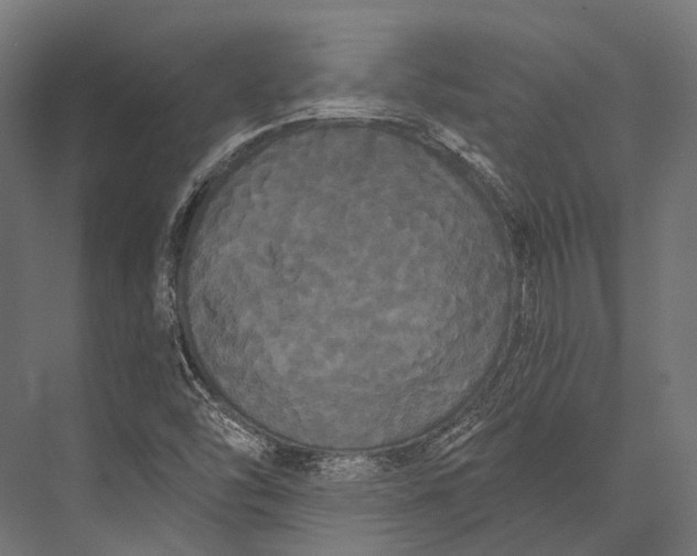 X0000076061454200610061524