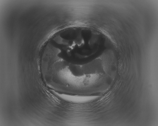 X0000076061455200610061524