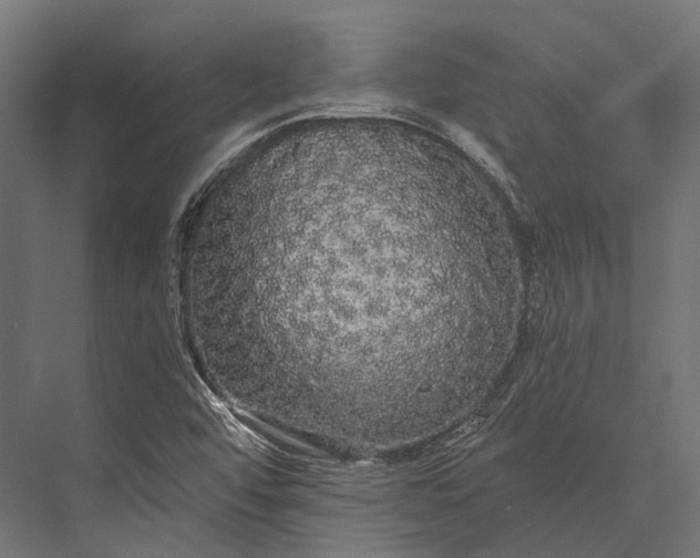 X0000076061456200610061524