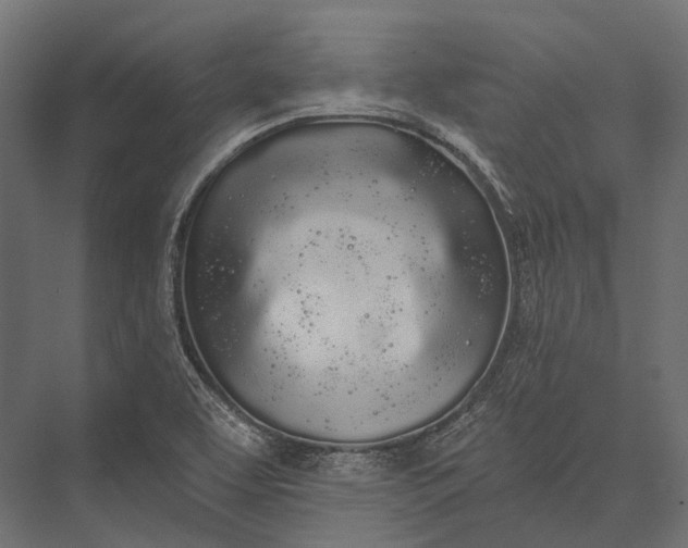 X0000076061463200610061523