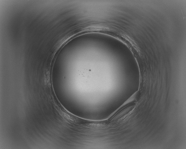 X0000076061465200610061523