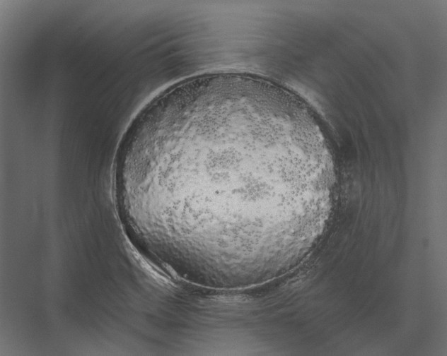 X0000076061468200610061523