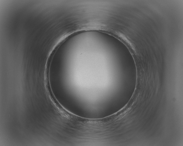 X0000076061469200610061523