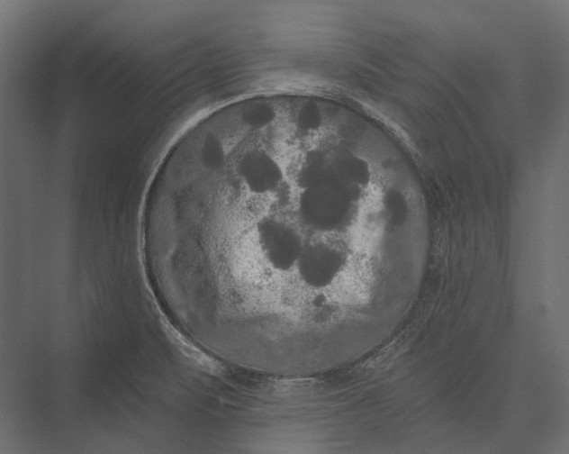 X0000076061471200610061523