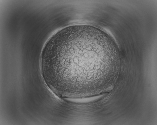 X0000076061472200610061523