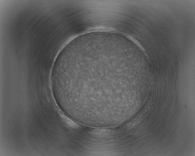 X0000076061474200610061523