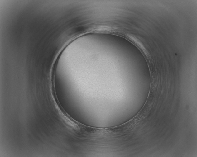 X0000076061475200610061523