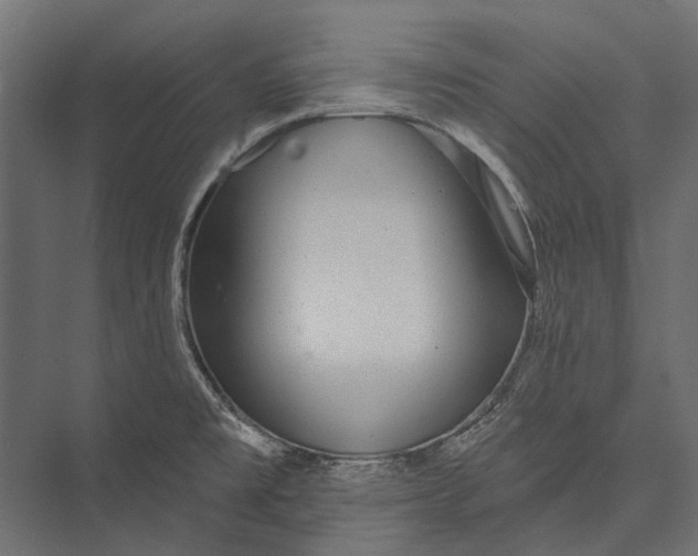 X0000076061477200610061523