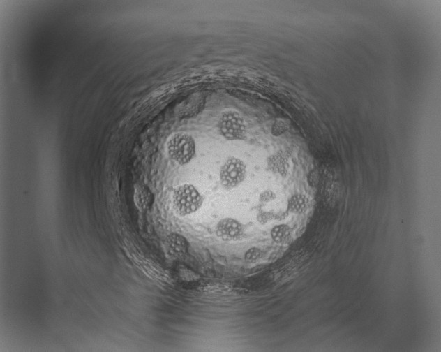 X0000076061489200610061522