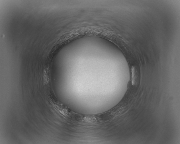 X0000076061491200610061522