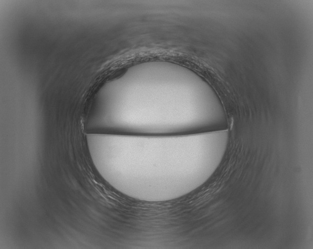 X0000076061492200610061522