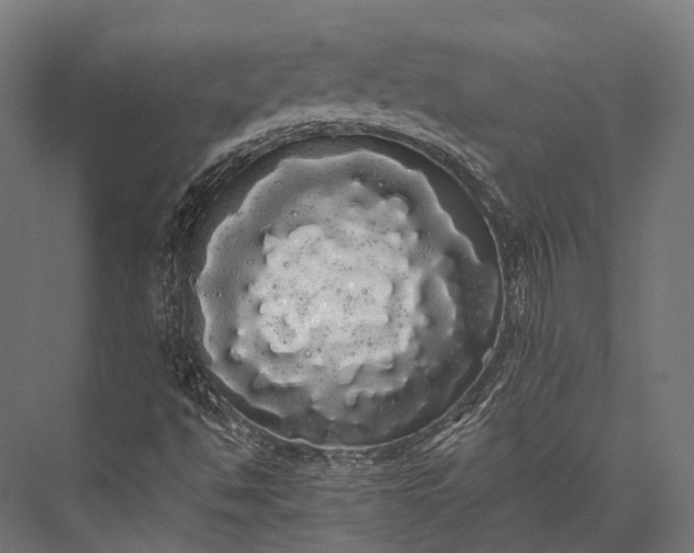 X0000076061494200610061522