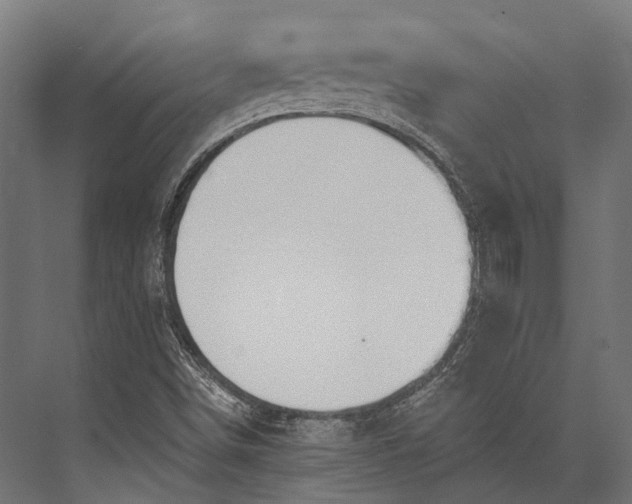 X0000076061498200610061522