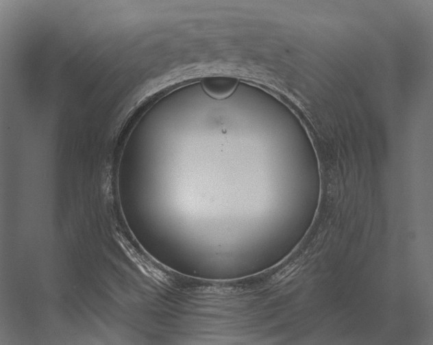 X0000076061499200610061522