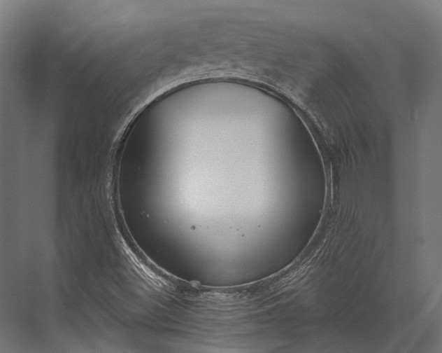 X0000076061500200610061522