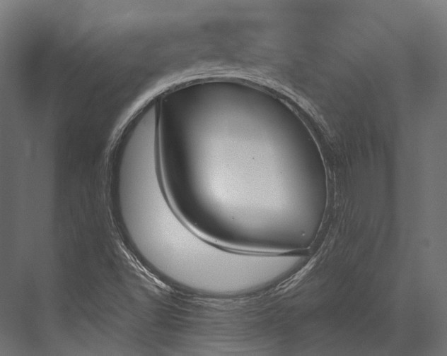 X0000076061502200610061522