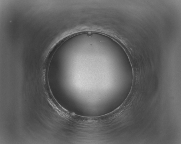 X0000076061503200610061522