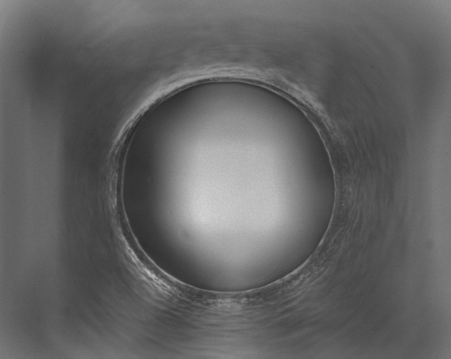 X0000076061504200610061522