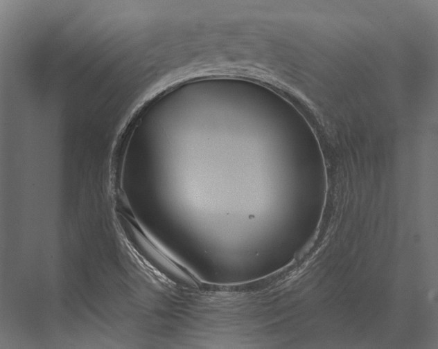 X0000076061506200610061522