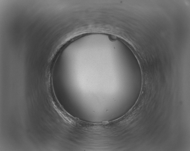 X0000076061507200610061522