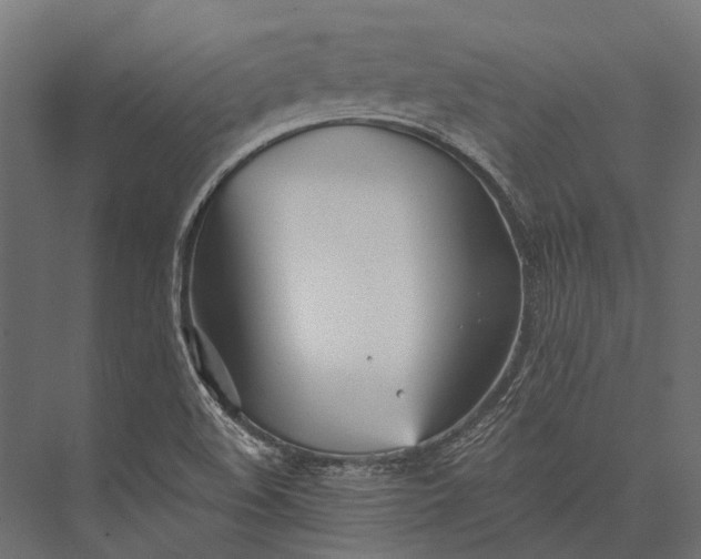 X0000076061508200610061522