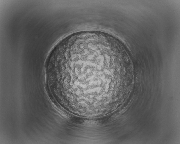 X0000076061509200610061522