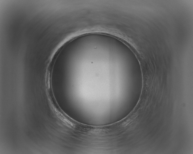 X0000076061510200610061522