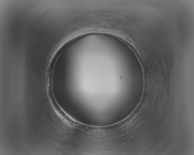 X0000076061511200610061523