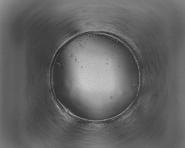 X0000076061513200610061523