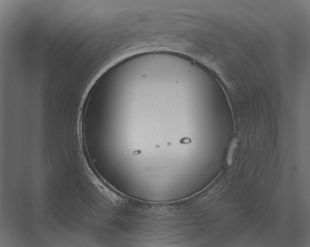 X0000076061516200610061523