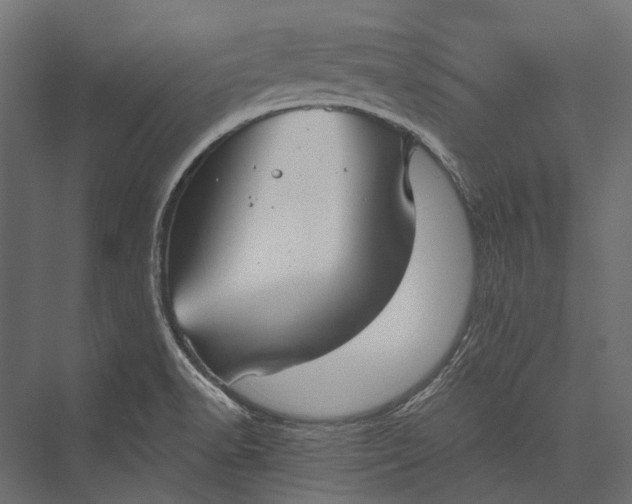 X0000076061518200610061523