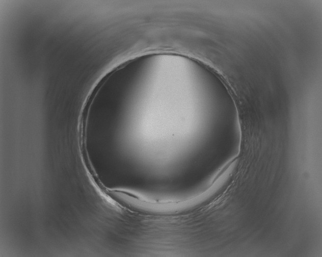 X0000076061519200610061523