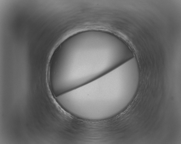 X0000076061520200610061523