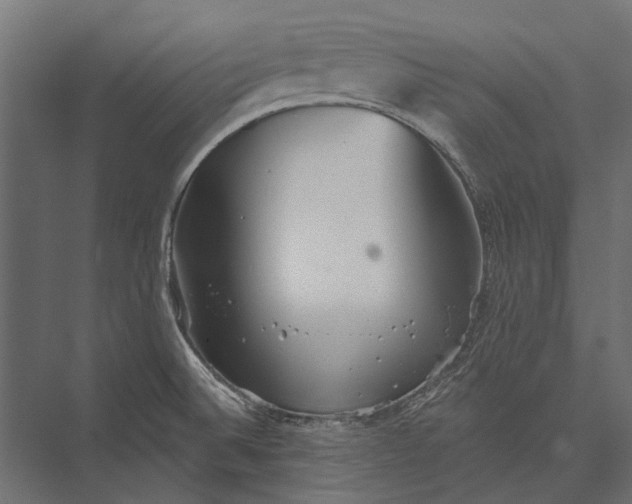 X0000076061524200610061523